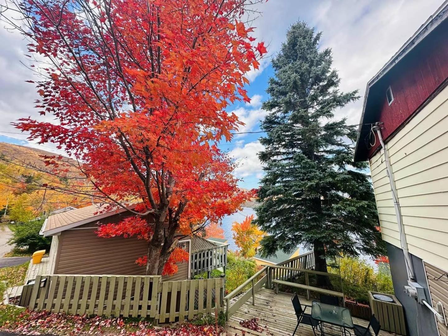 Knotty Pine Cottages, Suites & Motel Rooms Ingonish Exteriör bild